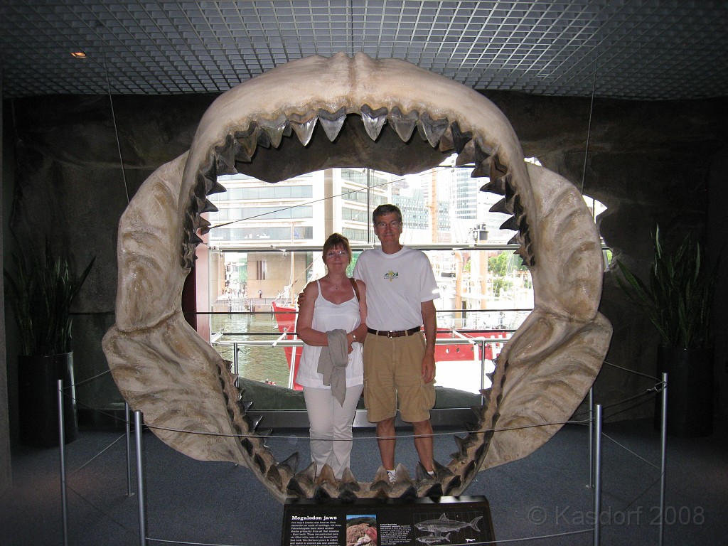 Baltimore MD 2009 2070.jpg - The mega shark ate us all and that is the end of the slideshow!